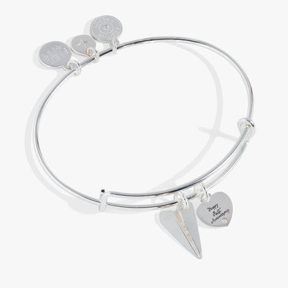 Alex and Ani First Anniversary Bangle