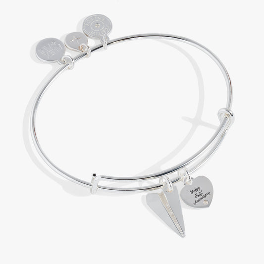 Alex and Ani First Anniversary Bangle