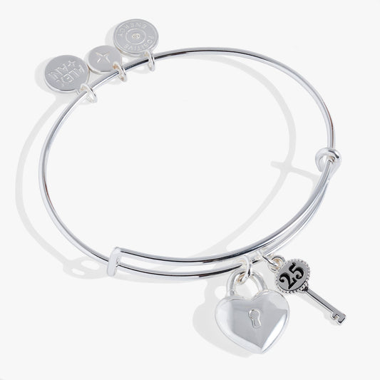 Alex and Ani 25th Anniversary Bangle