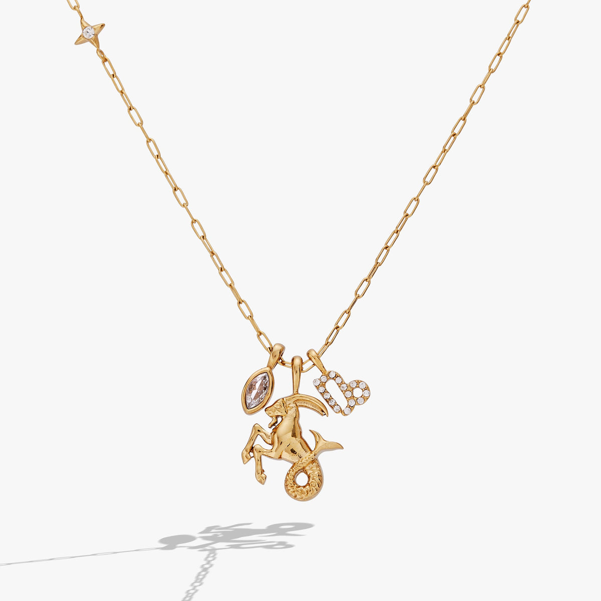 Alex and Ani Capricorn Charm Cluster Necklace