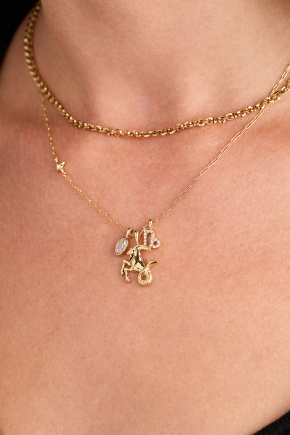 Alex and Ani Capricorn Charm Cluster Necklace