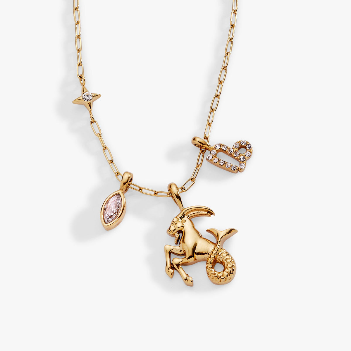 Alex and Ani Capricorn Charm Cluster Necklace