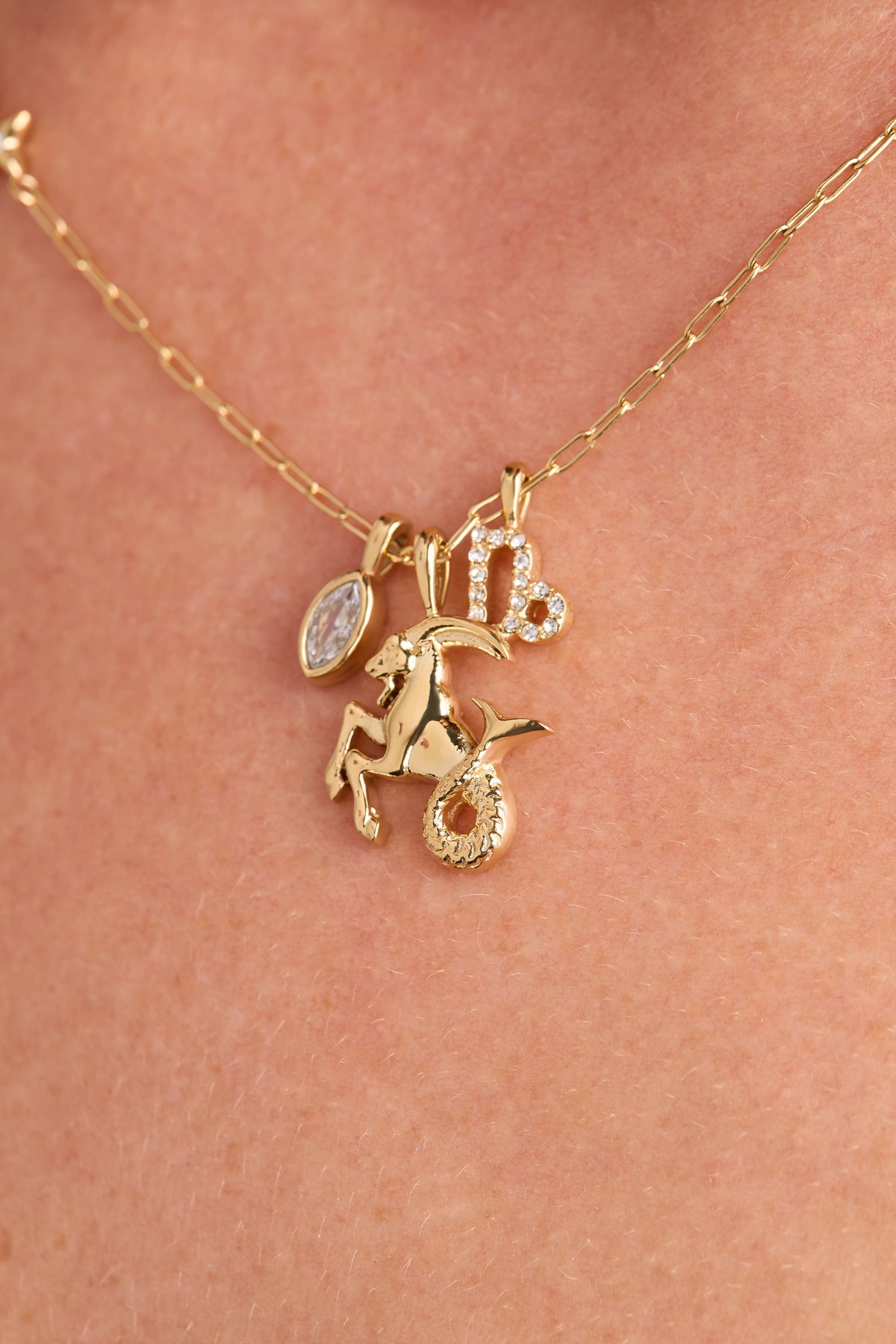 Alex and Ani Capricorn Charm Cluster Necklace