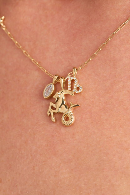 Alex and Ani Capricorn Charm Cluster Necklace