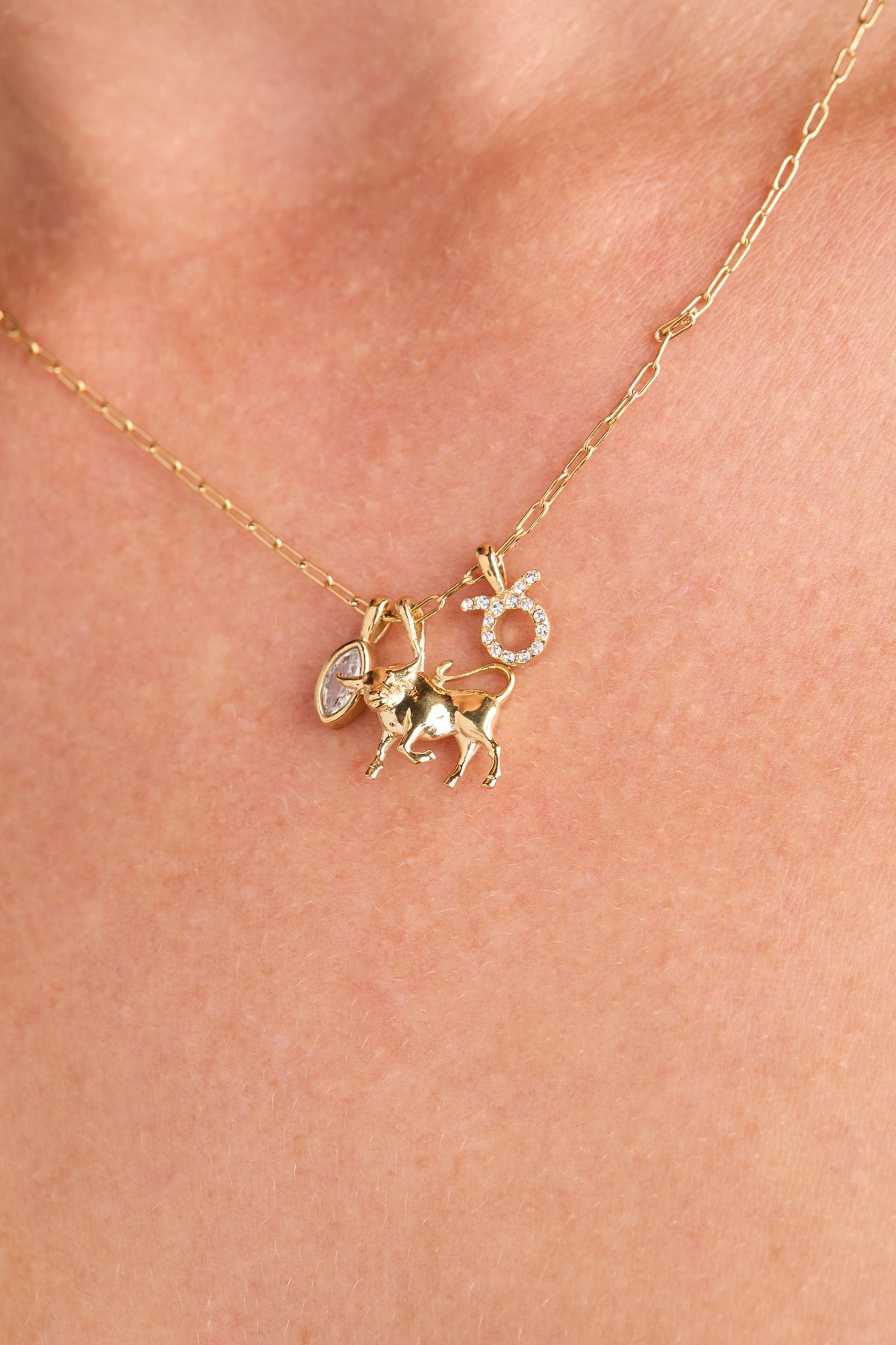 Alex and Ani Taurus Charm Cluster Necklace