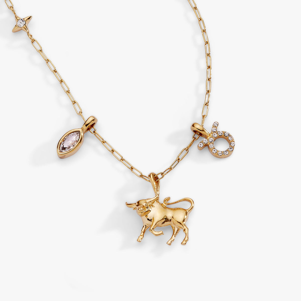 Alex and Ani Taurus Charm Cluster Necklace