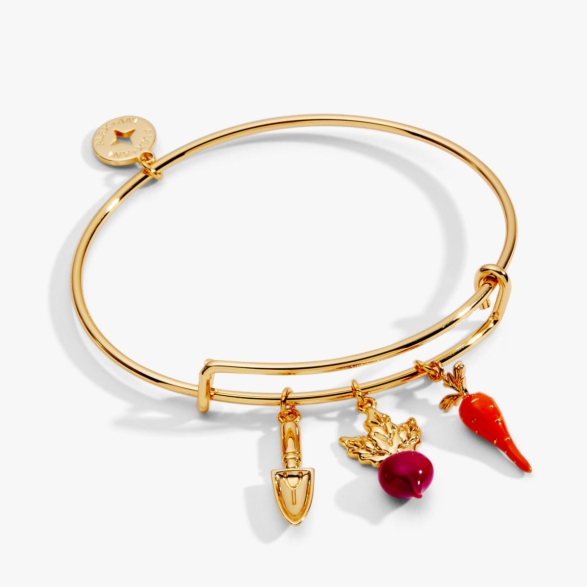 Alex and Ani Farmers' Market Bracelet Bundle
