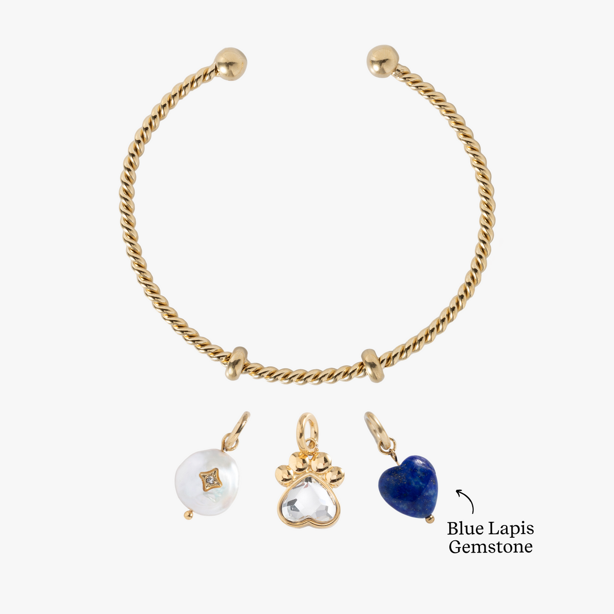 Alex and Ani Pawsitively Yours Charm Bundle