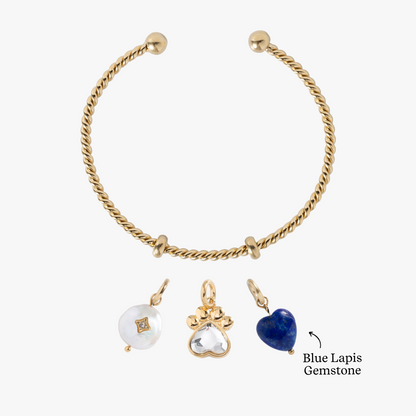 Alex and Ani Pawsitively Yours Charm Bundle