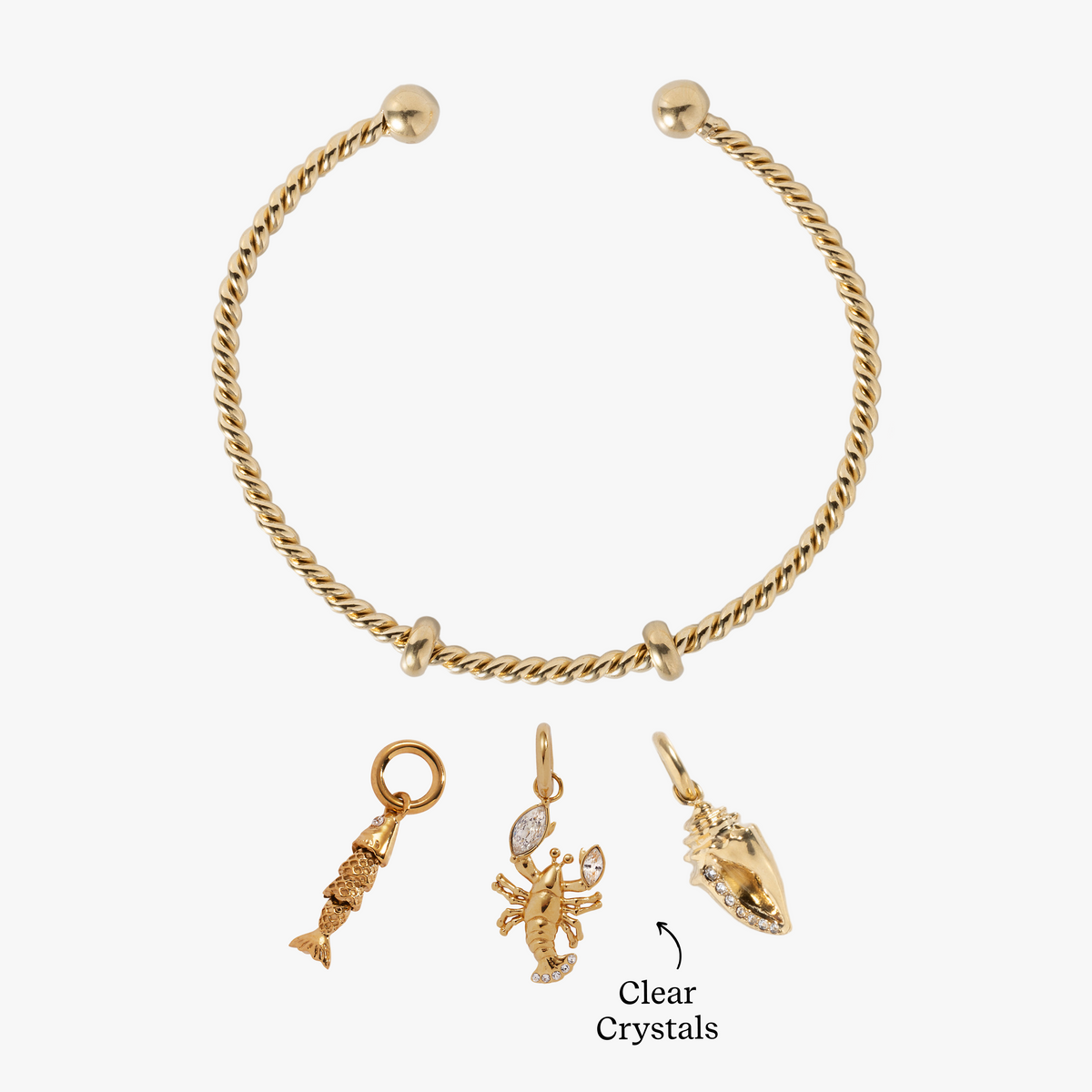 Alex and Ani Catch of the Day Charm Bundle