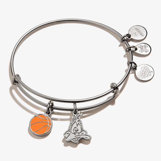 Alex and Ani Space Jam Daffy Duck Duo Charm Bangle - Alex and Ani