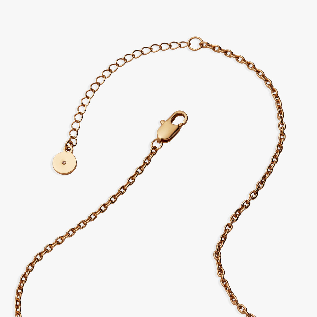 Alex and Ani HOUSE OF THE DRAGON™ Syrax Necklace