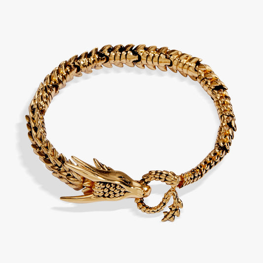 Alex and Ani HOUSE OF THE DRAGON™ Syrax Linear Bracelet