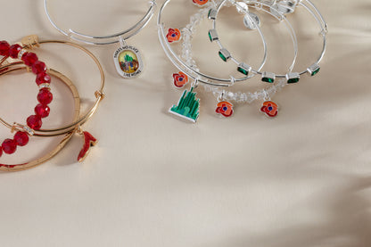 Alex and Ani The Wizard of Oz™ No Place Like Home Bangle