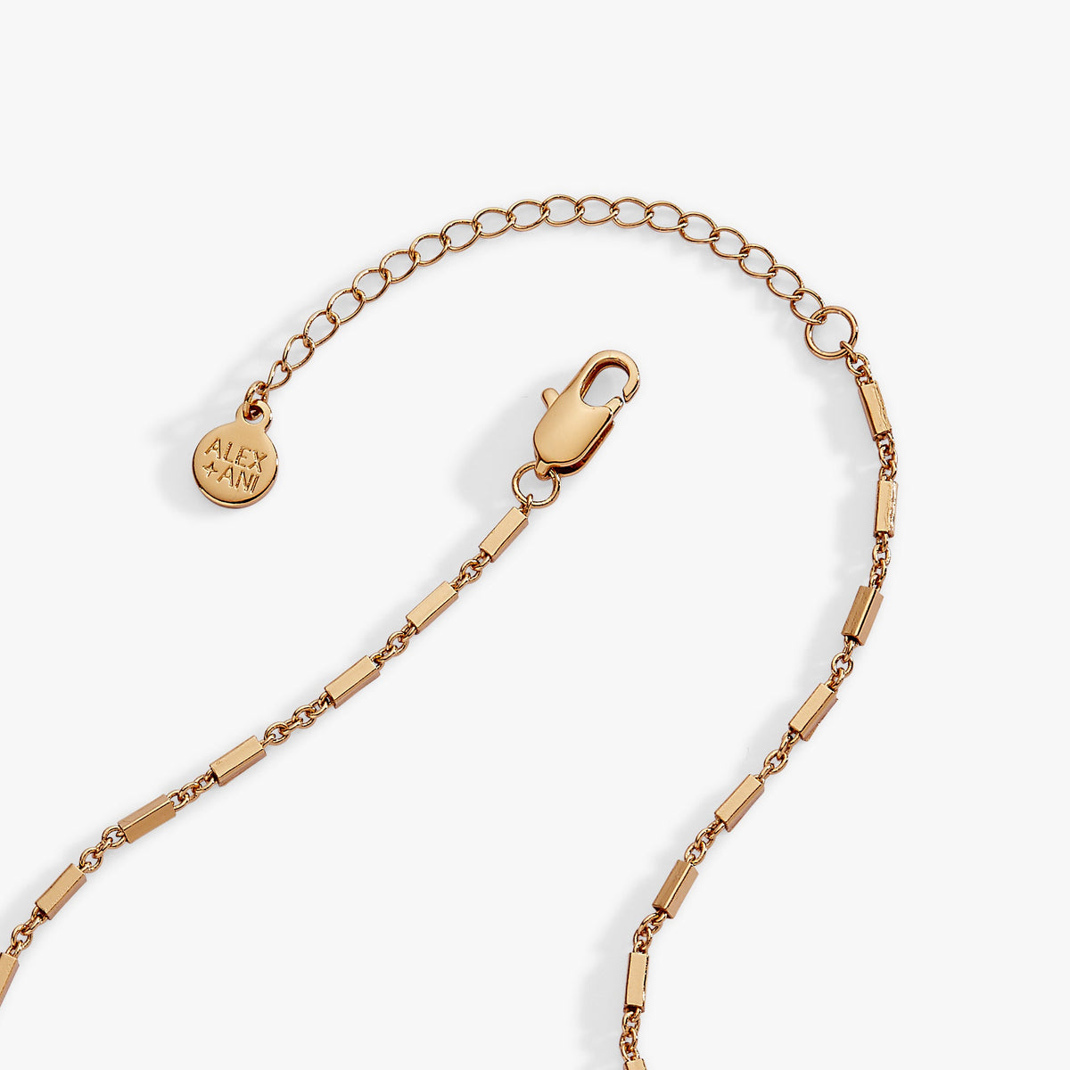 Alex and Ani The Wizard of Oz™ Dorothy Toto Basket Pendant