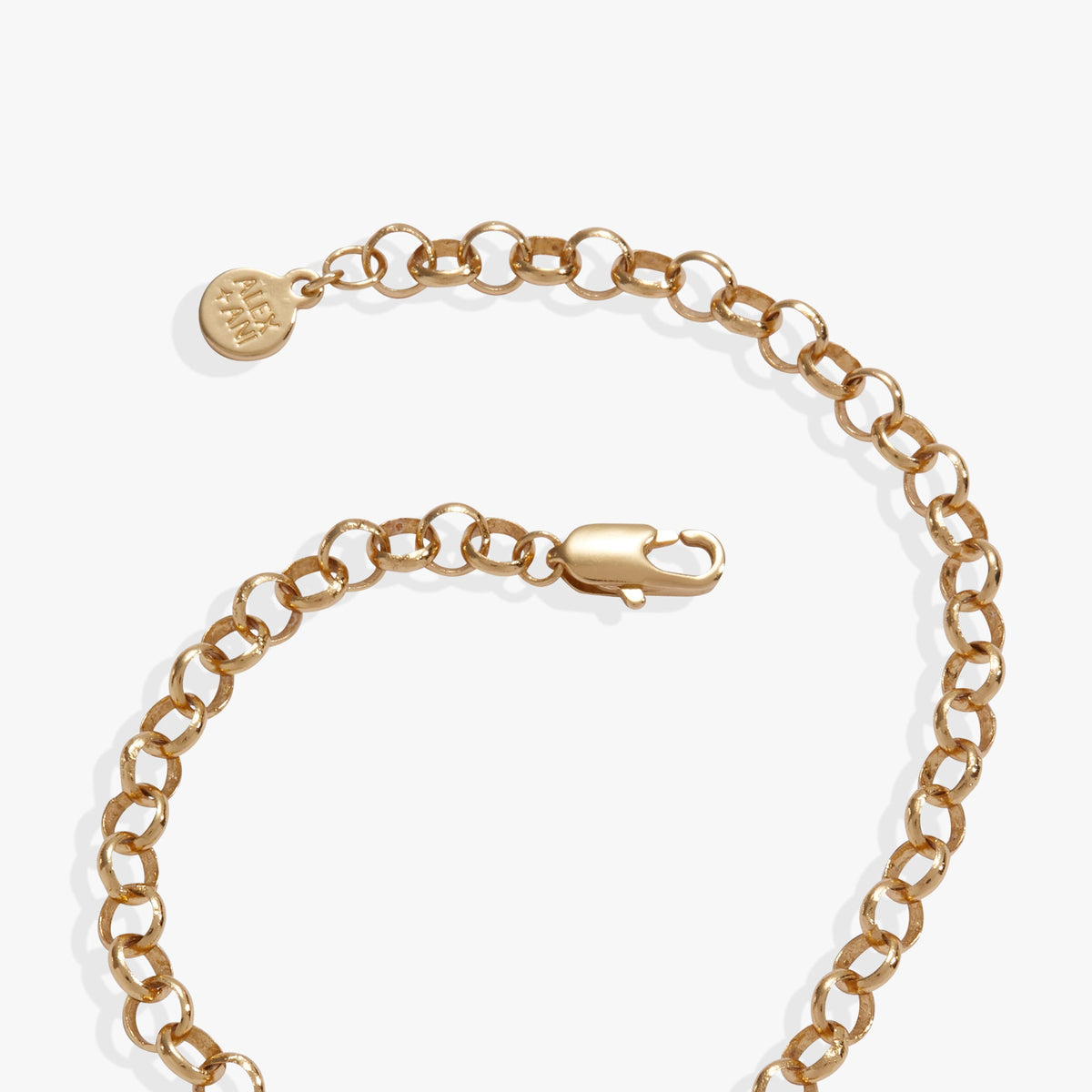 Alex and Ani Looney Tunes - Tweety Heart Bracelet