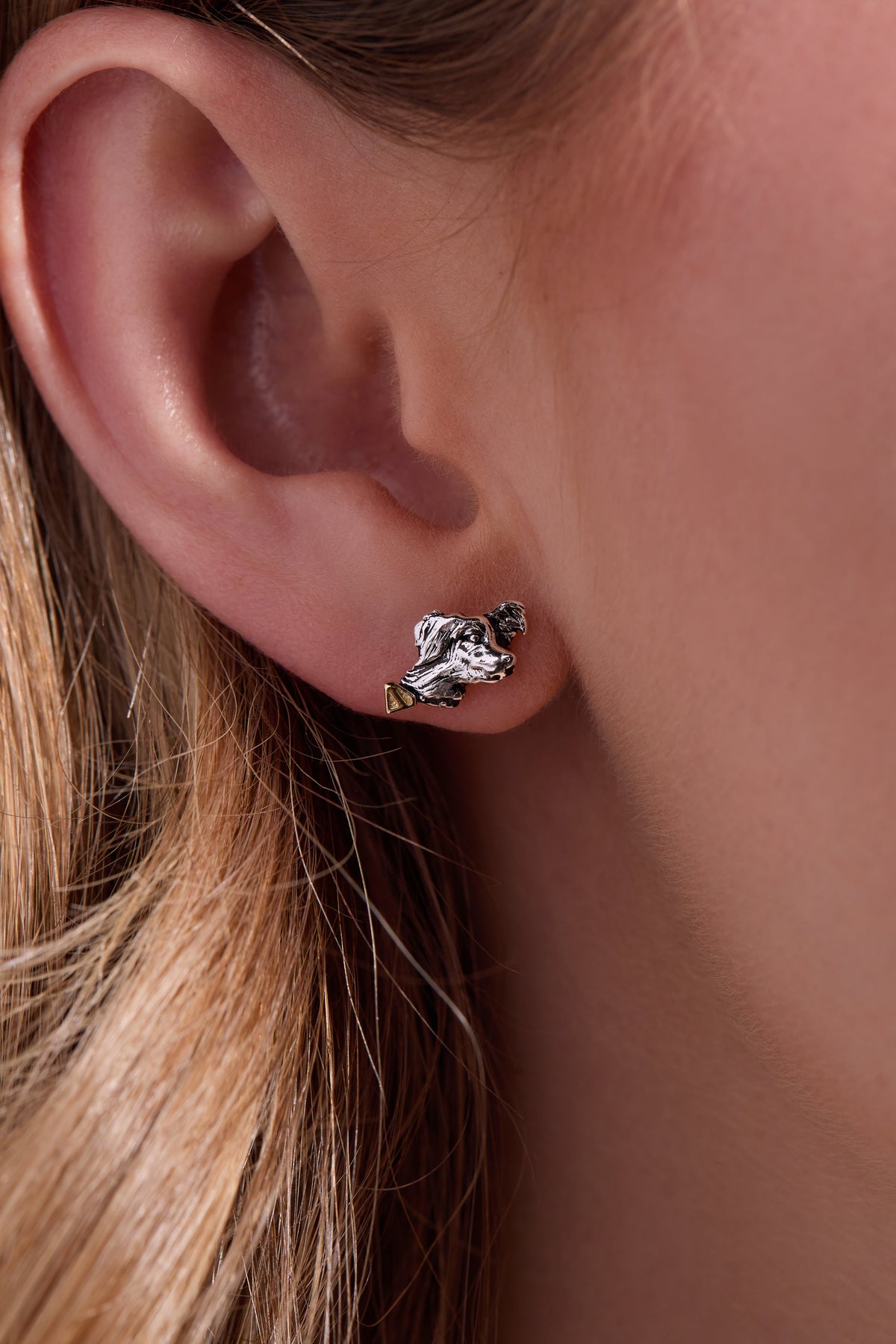 Alex and Ani SUPERMAN™ Krypto Stud