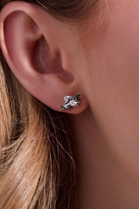 Alex and Ani SUPERMAN™ Krypto Stud