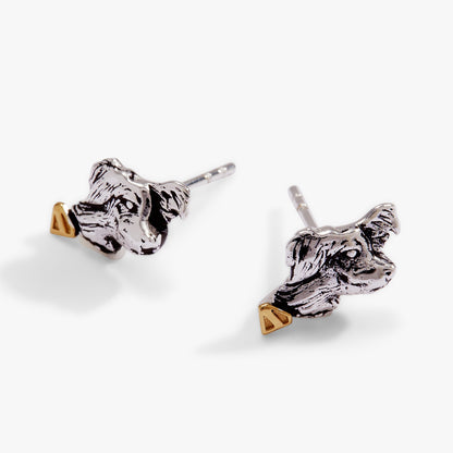 Alex and Ani SUPERMAN™ Krypto Stud