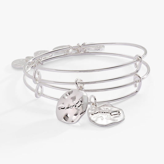 Alex and Ani Little Dipper BFF Bangle Set of 2