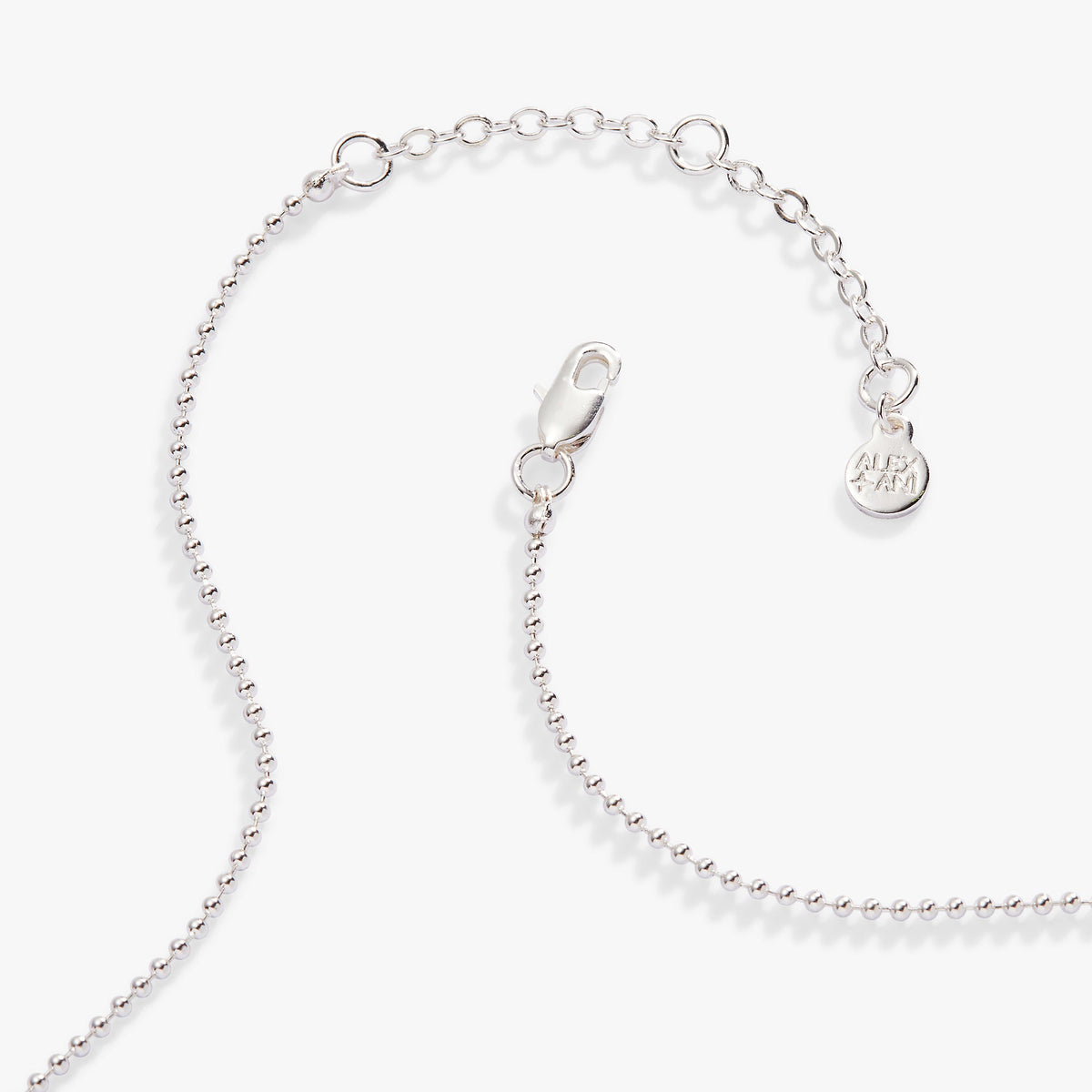 Alex and Ani Capricorn Zodiac Double-Sided Charm Necklace