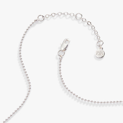 Alex and Ani Capricorn Zodiac Double-Sided Charm Necklace