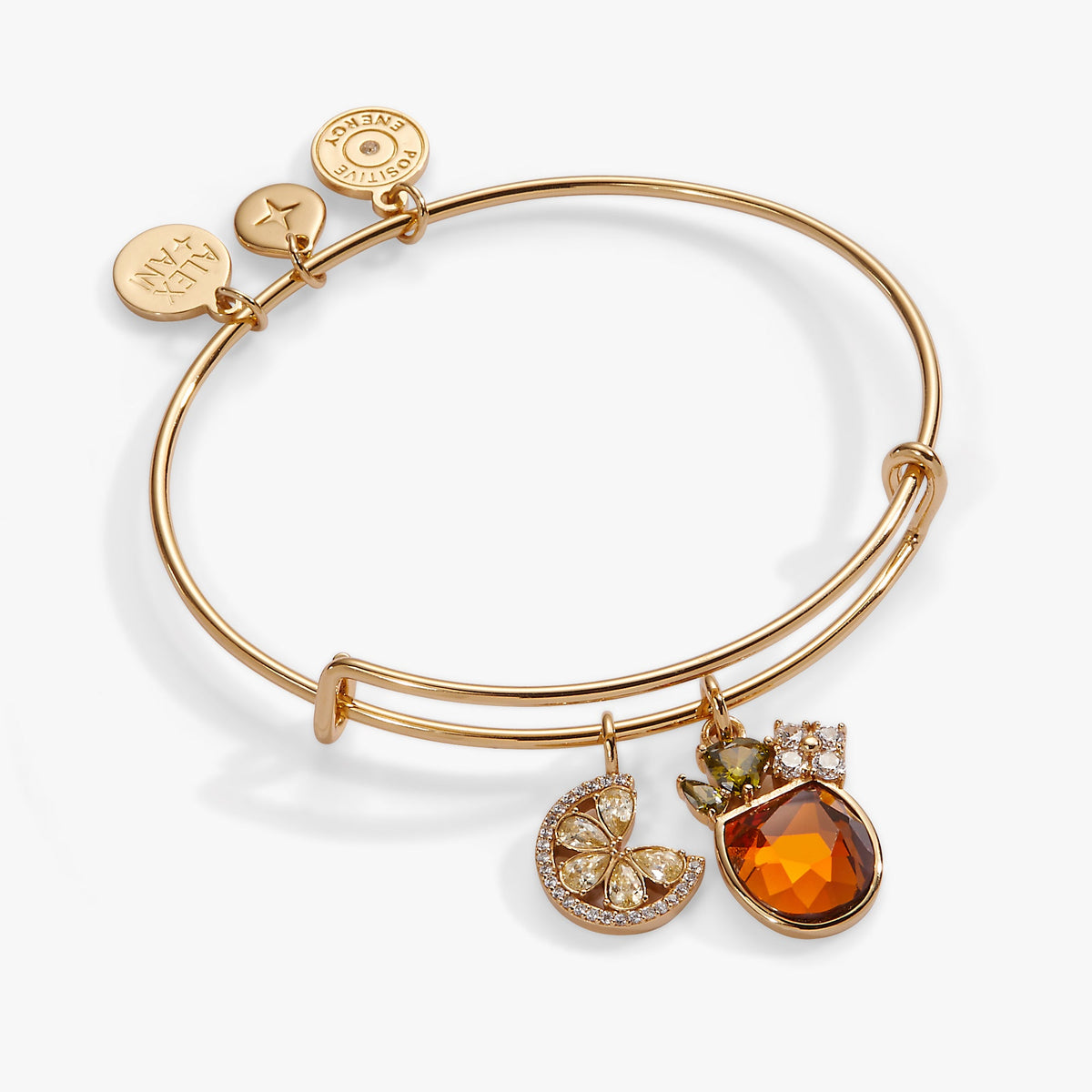 Alex and Ani Spritz O Clock Bangle