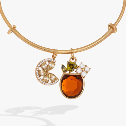Alex and Ani Spritz O Clock Bangle