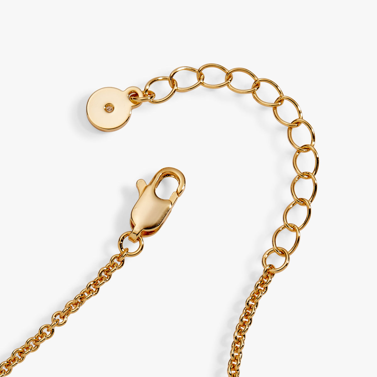 Alex and Ani Taco Inline Charm Bracelet