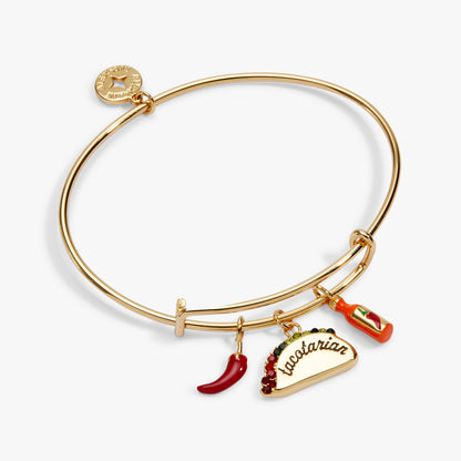 Alex and Ani Tacotarian' Multi Charm Bangle