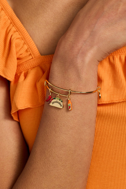 Alex and Ani Tacotarian' Multi Charm Bangle