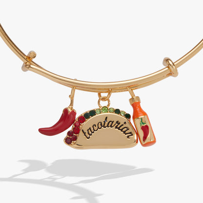 Alex and Ani Tacotarian' Multi Charm Bangle