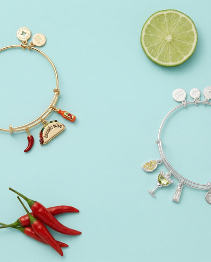 Alex and Ani Tacotarian' Multi Charm Bangle