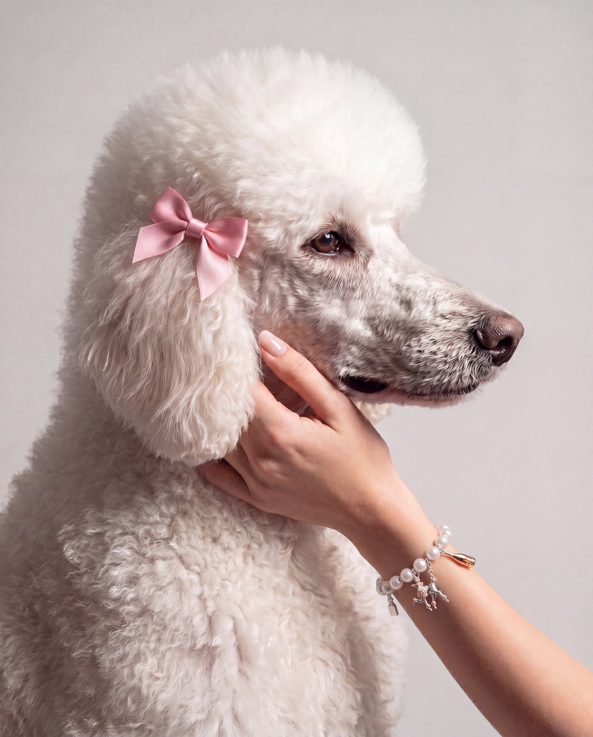 Alex and Ani Posh Poodle Pearl Charm Bracelet