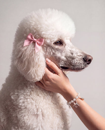 Alex and Ani Posh Poodle Pearl Charm Bracelet
