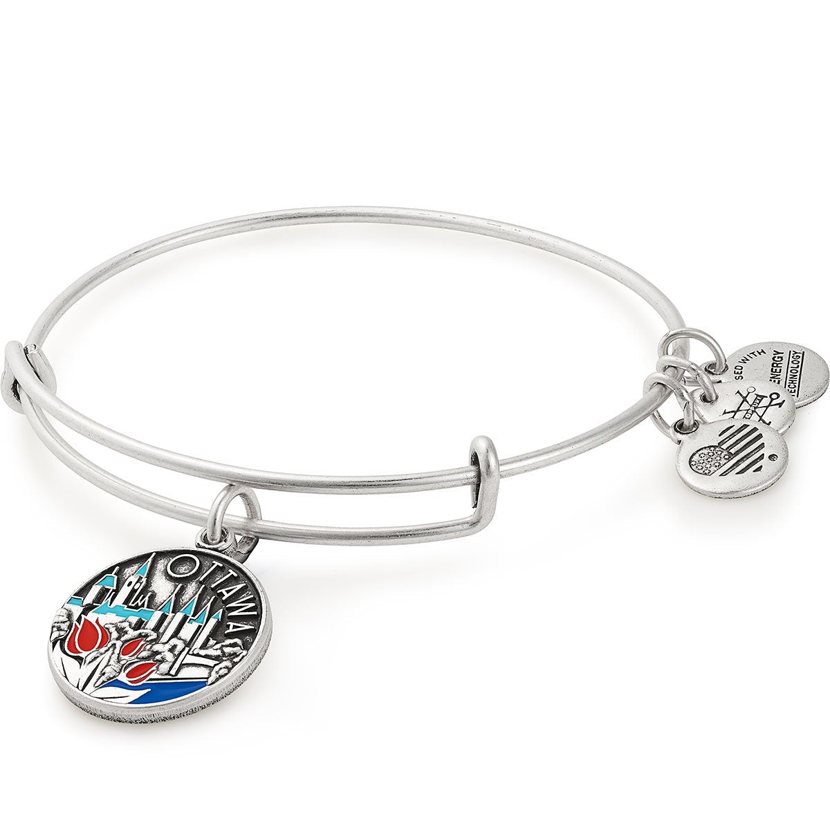 Alex and Ani Ottawa Charm Bangle, Color Infusion - Alex and Ani
