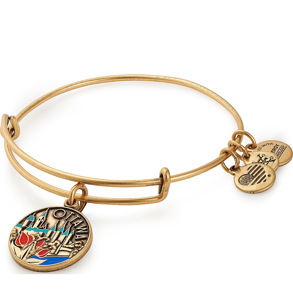 Alex and Ani Ottawa Charm Bangle, Color Infusion - Alex and Ani