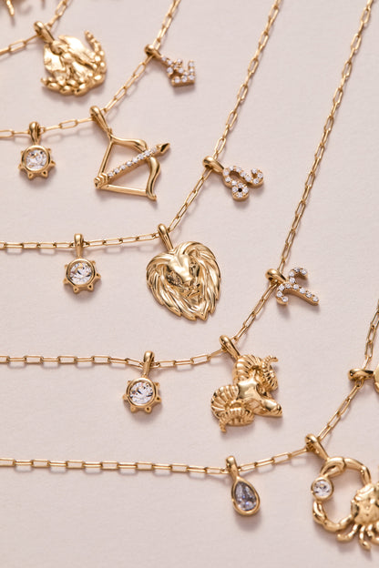 Alex and Ani Sagittarius Charm Cluster Necklace