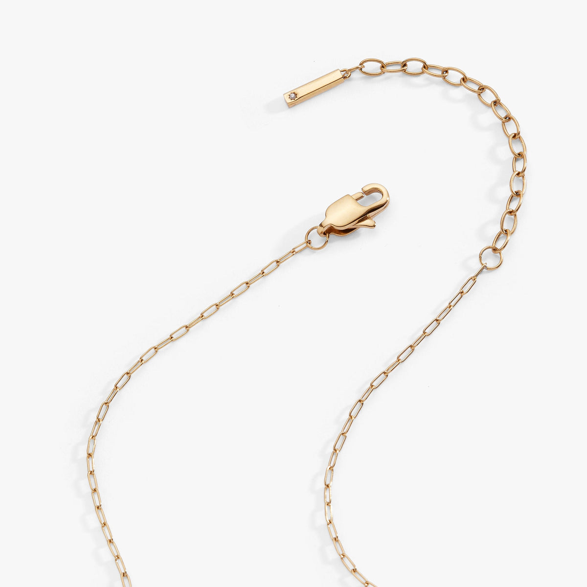 Alex and Ani Aquarius Charm Cluster Necklace