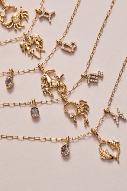 Alex and Ani Scorpio Charm Cluster Necklace