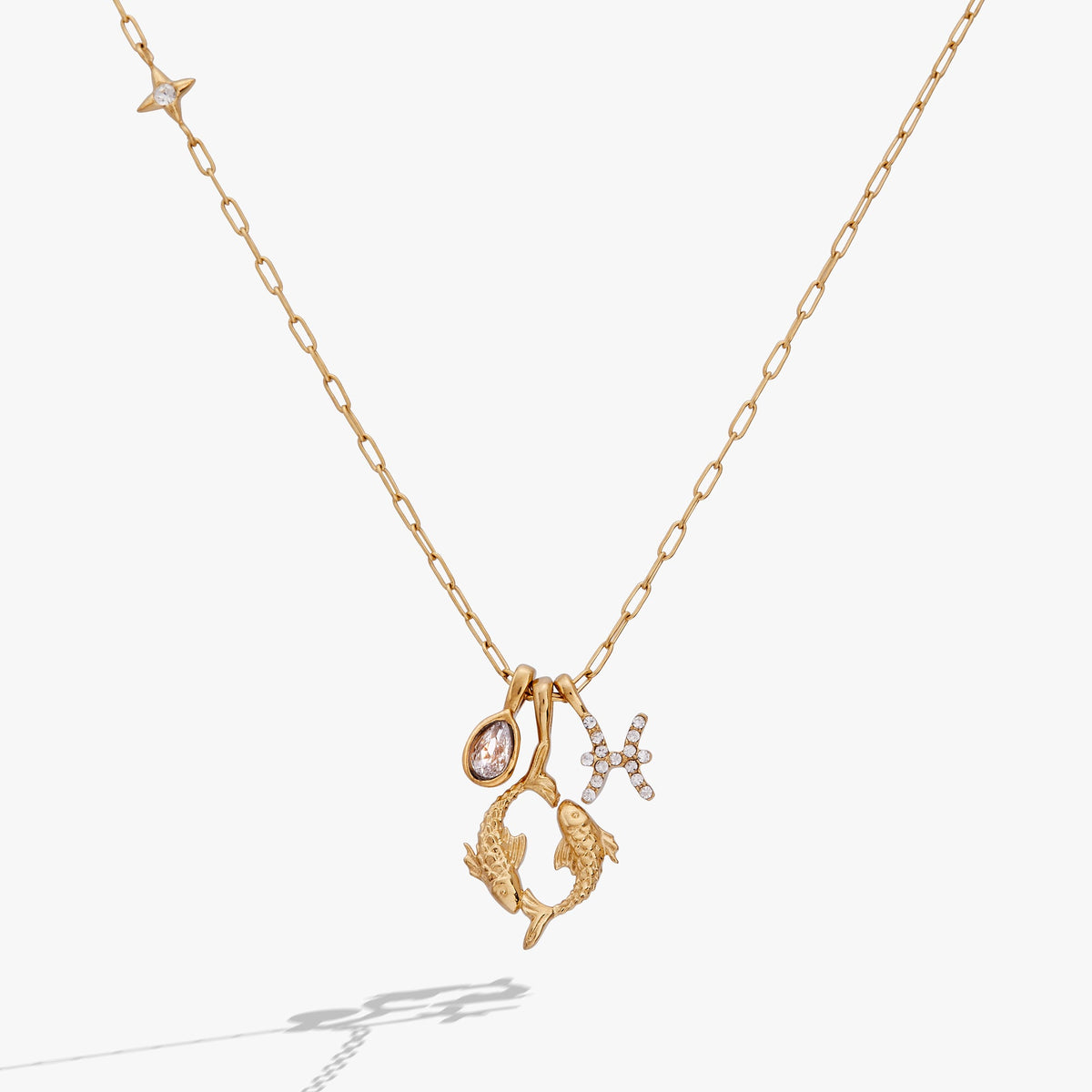 Alex and Ani Pisces Charm Cluster Necklace