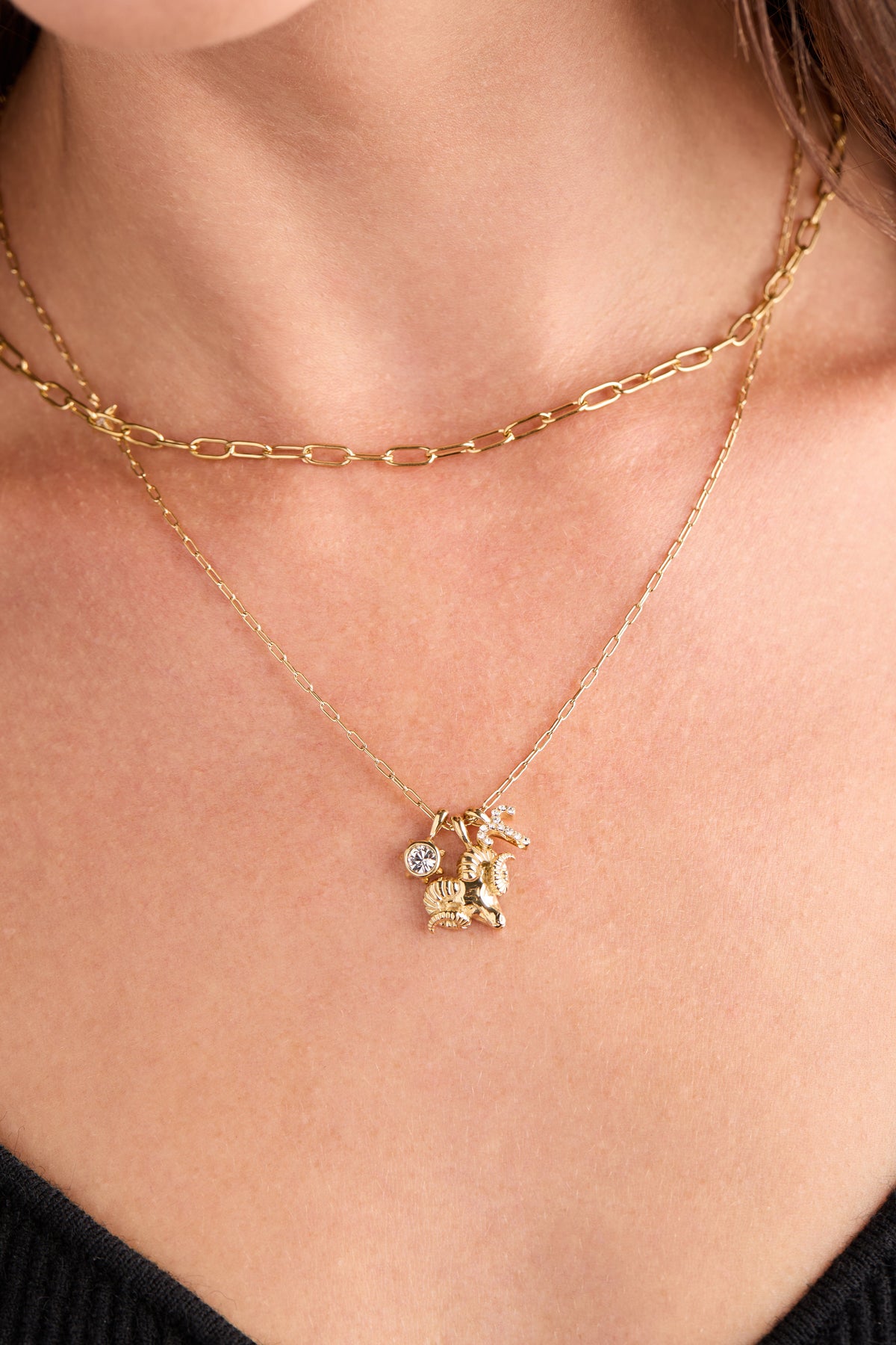 Alex and Ani Aries Charm Cluster Necklace
