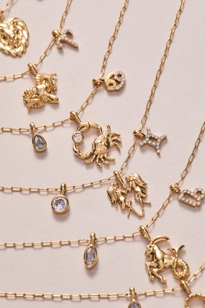 Alex and Ani Aries Charm Cluster Necklace