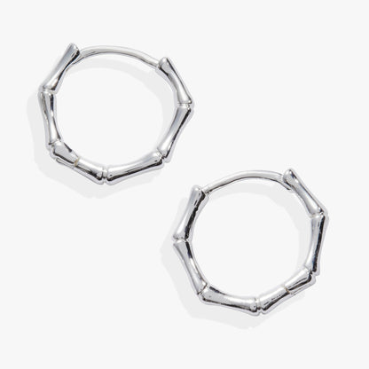 Alex and Ani Bamboo Huggie