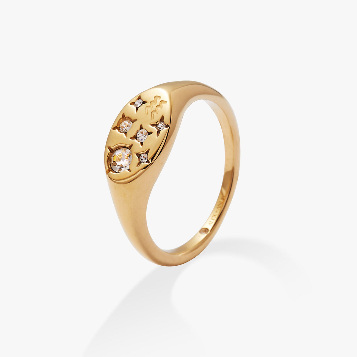 Alex and Ani Aquarius Zodiac Ring