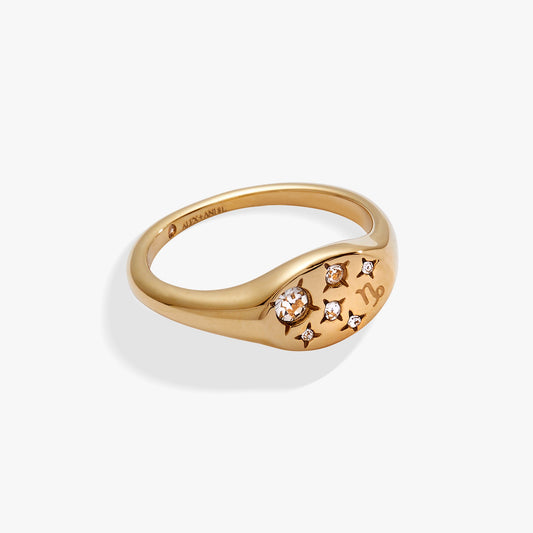 Alex and Ani Capricorn Zodiac Ring