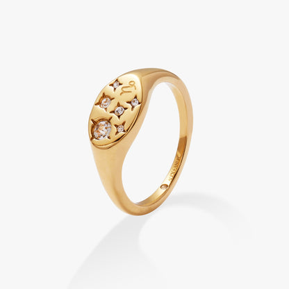 Alex and Ani Capricorn Zodiac Ring