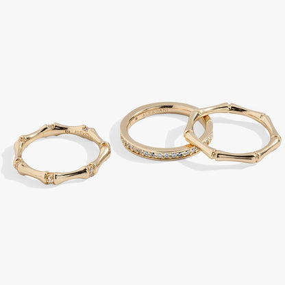Alex and Ani Bamboo Trio Ring Set