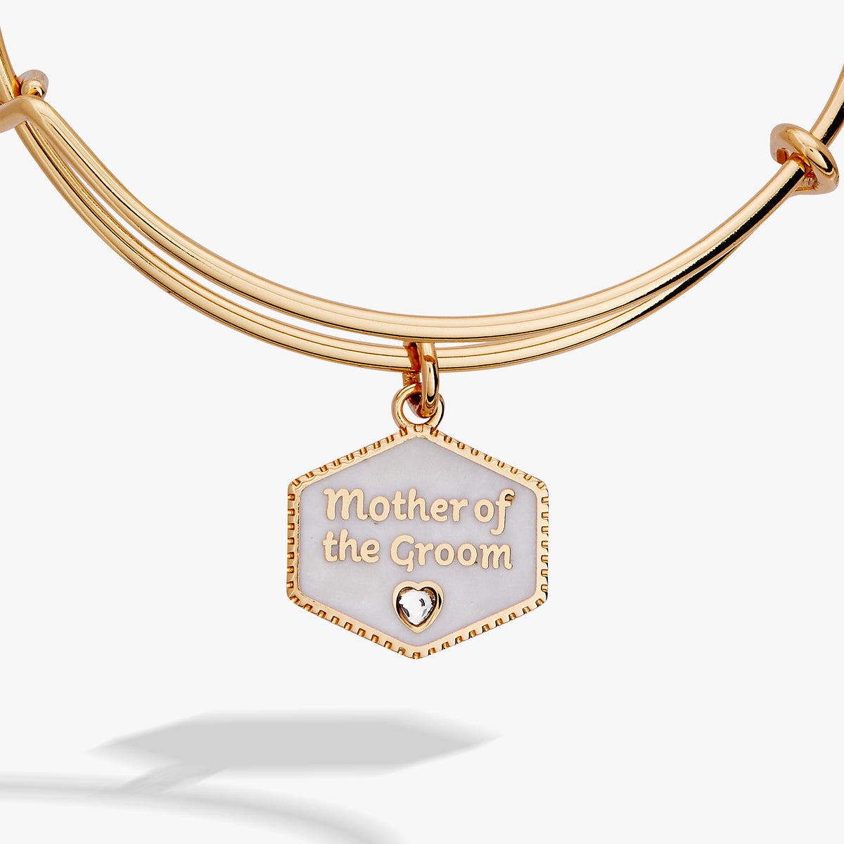 Alex and Ani Mother of the Groom MOP Charm Bangle