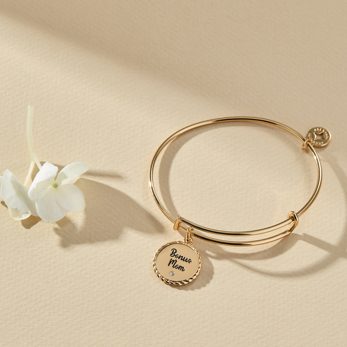 Alex and Ani BILY Bonus Mom EWB